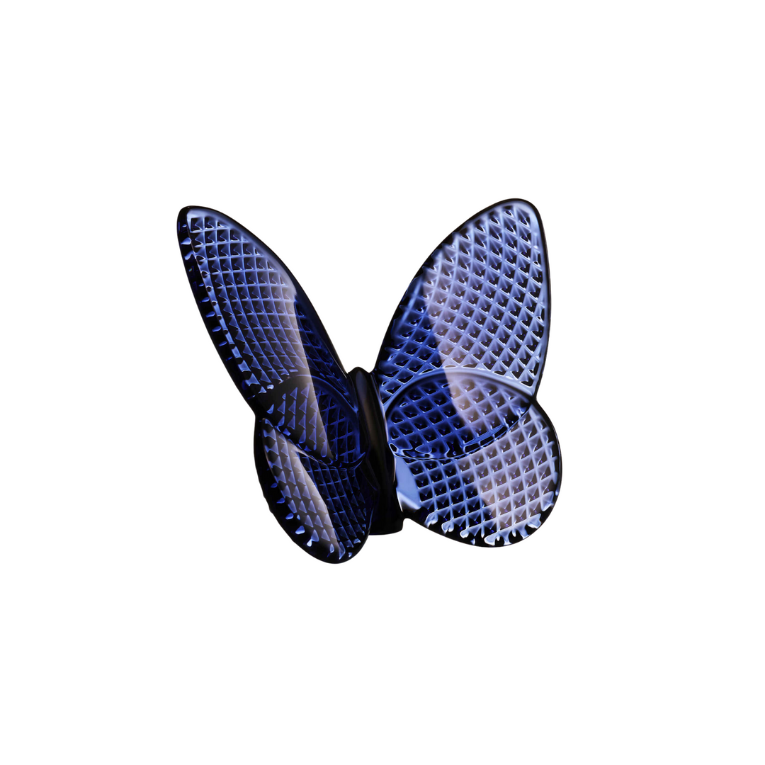 Papillon Midnight Butterfly - Midnight