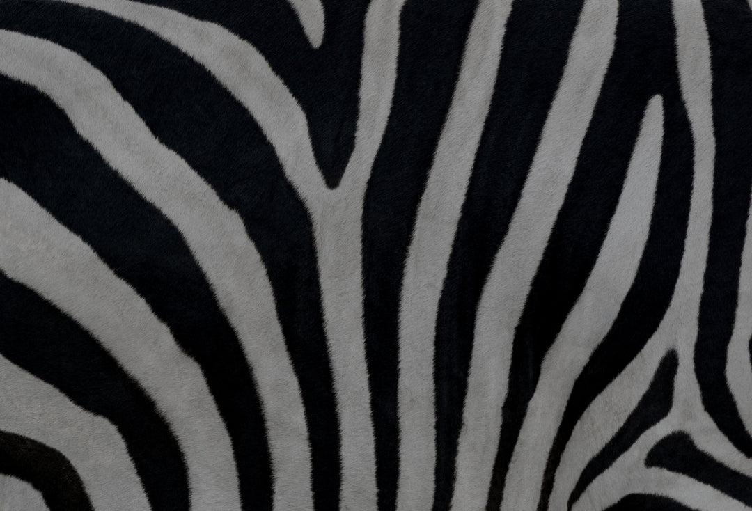 All Things Animal Print
