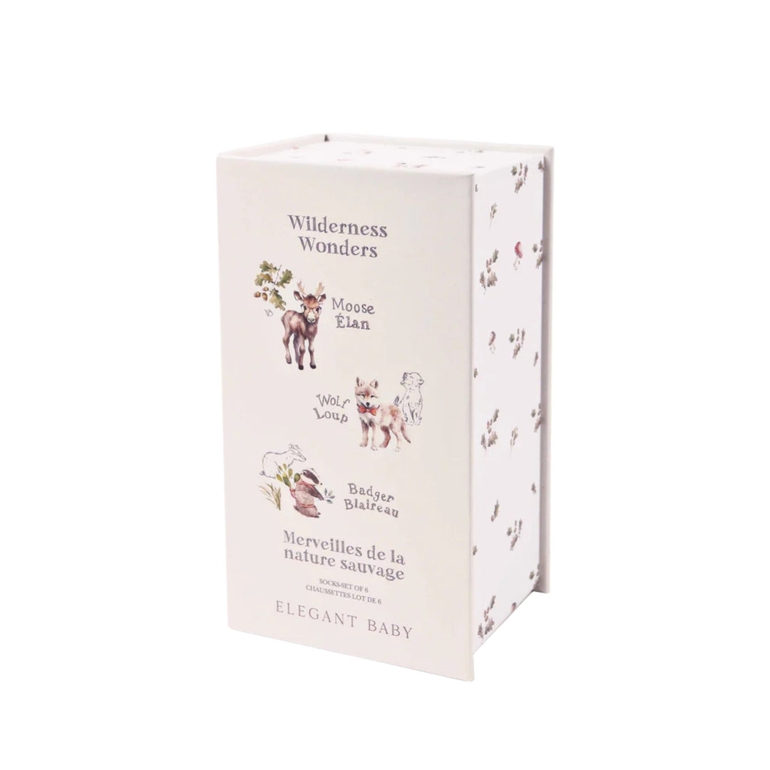0-12M Woodland Explorer Socks - 6 Pack