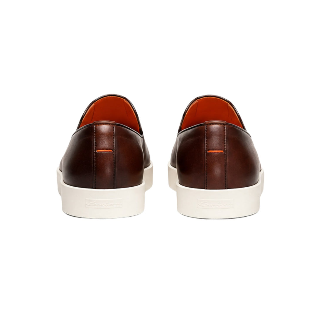 Pancia Slip On Dress Sneaker in Brown