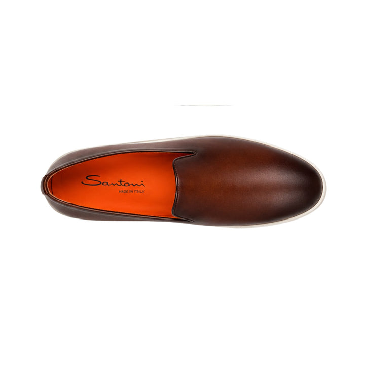 Pancia Slip On Dress Sneaker in Brown