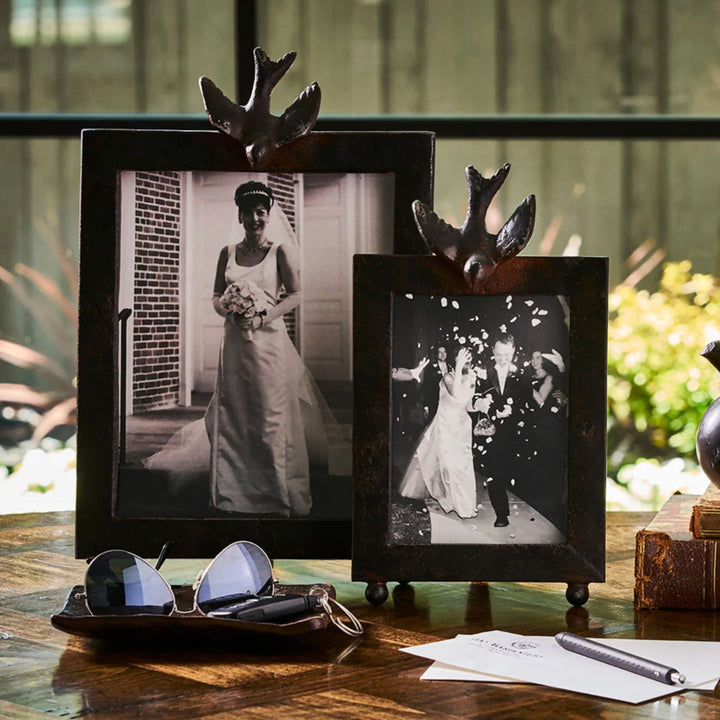 Golondrina Frame 5x7
