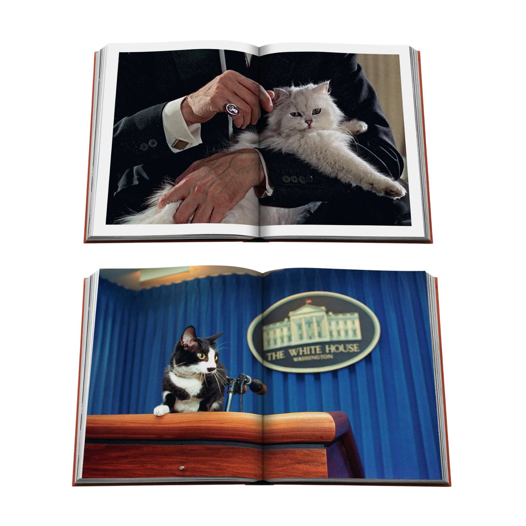 Chic Cats