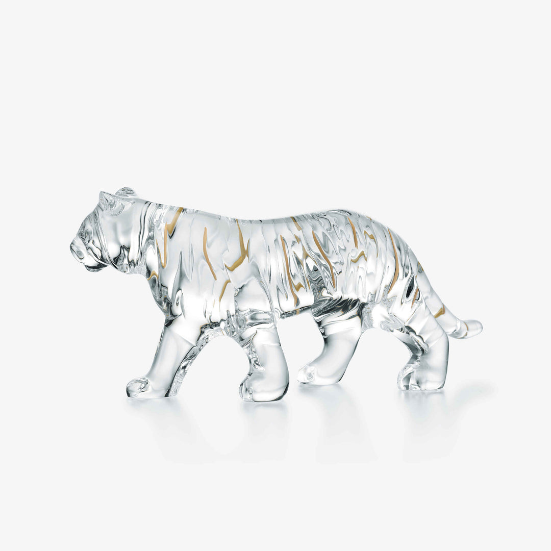 2022 Zodiac Tiger Clear