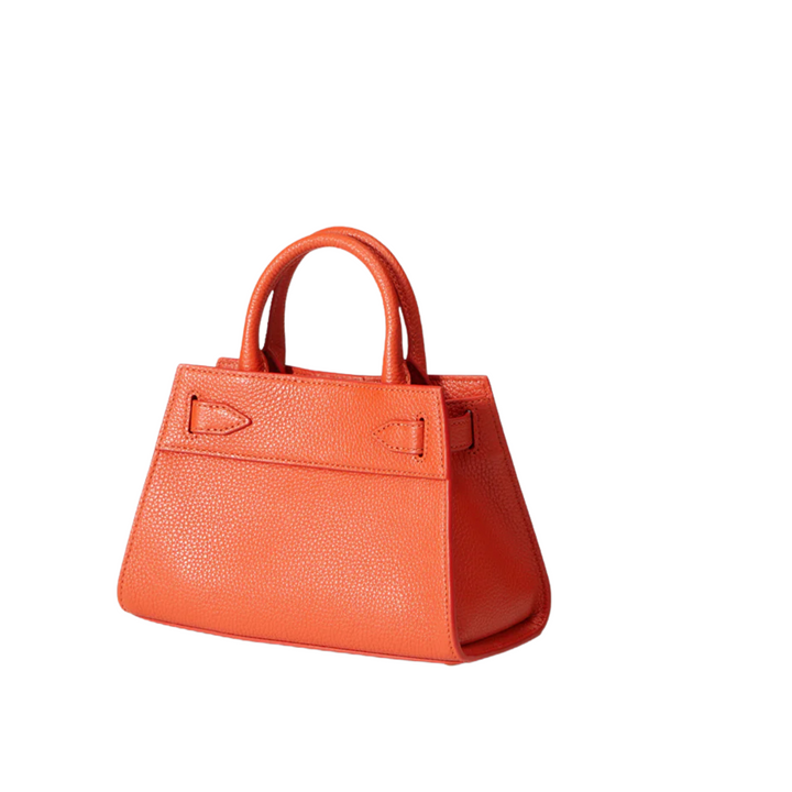 Mini Dash Bag in Persimmon