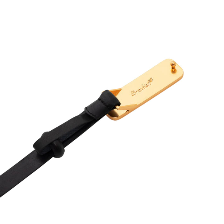 ACE Basin Abby Belt