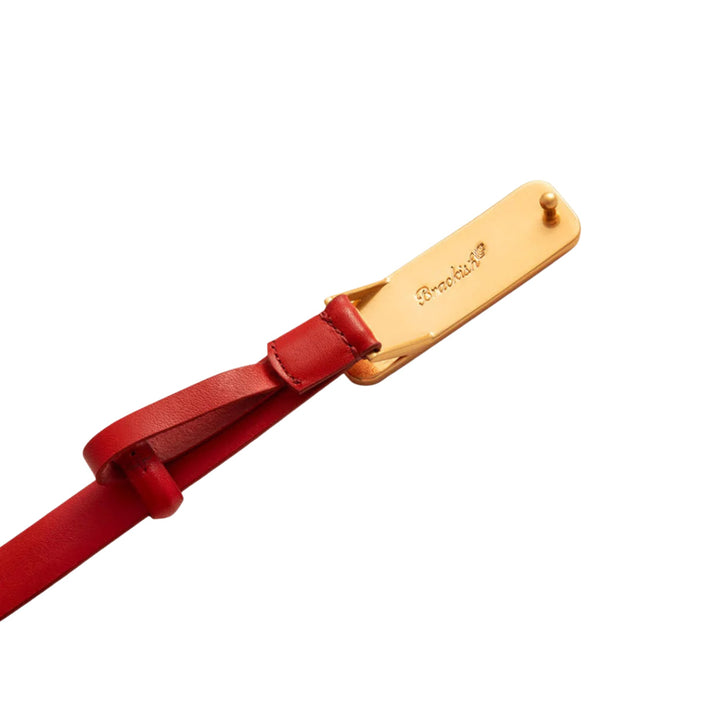 ACE Basin Abby Belt
