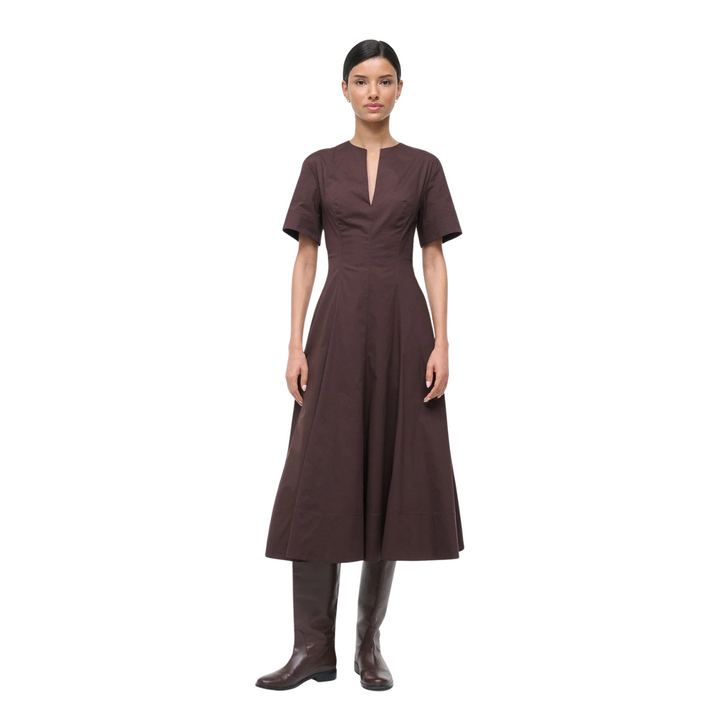 Frances Dress in Earth