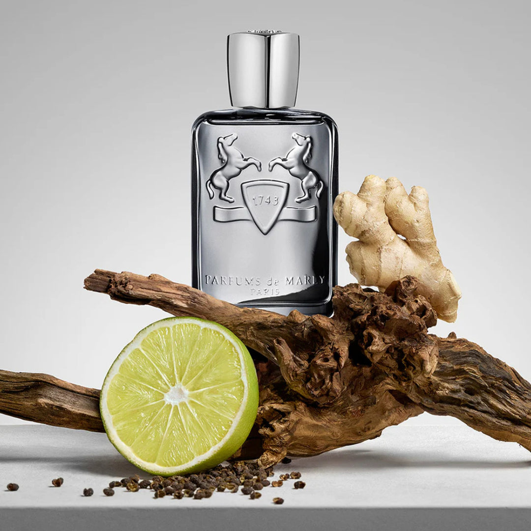 Castley EDP 125ml