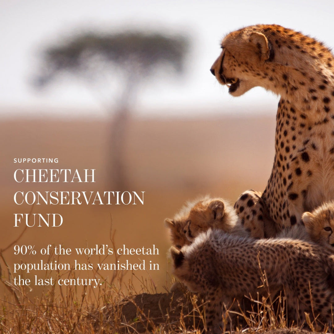 Chantecaille Cheetah Lip Veil Acacia