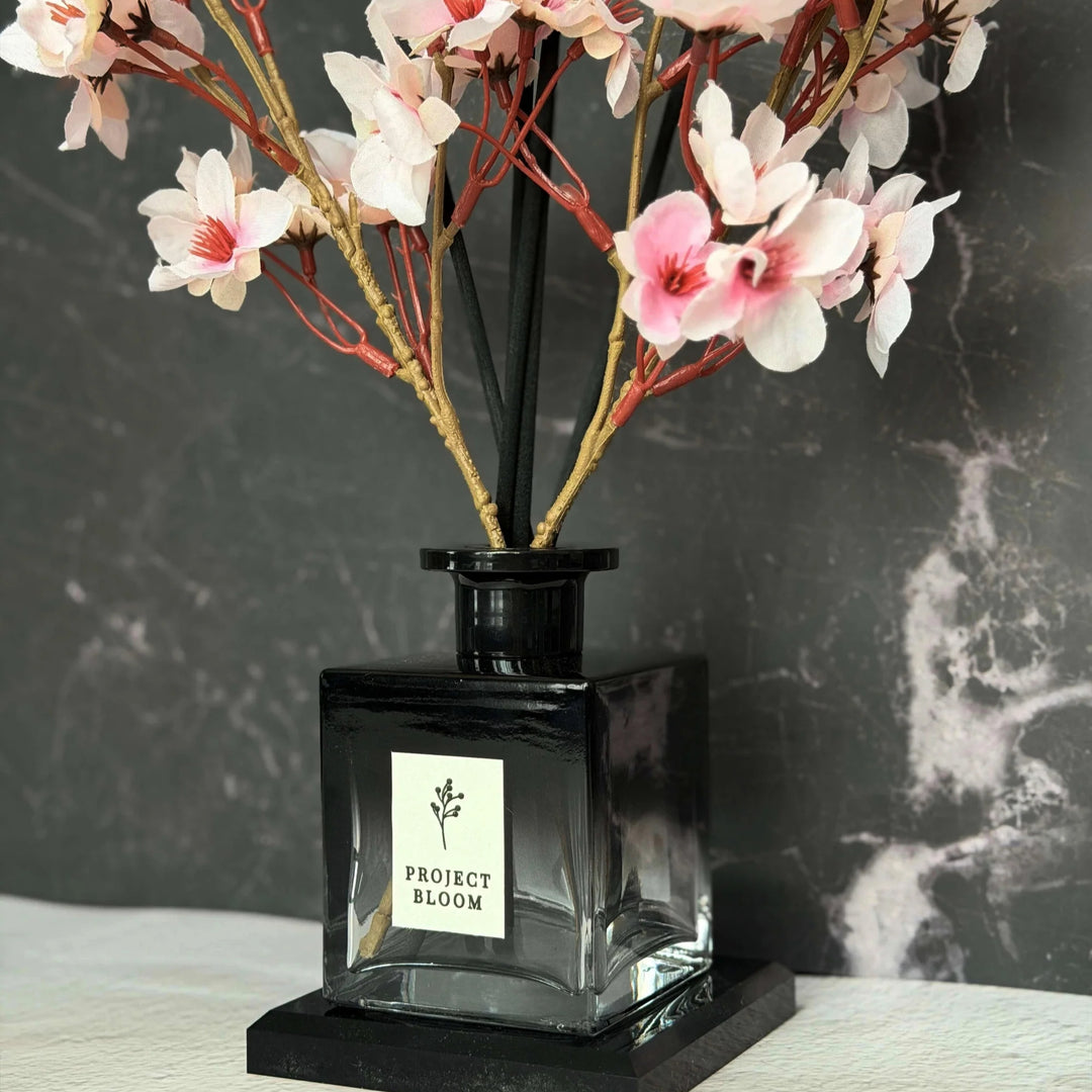 Dark Kiss Diffuser Gift Set