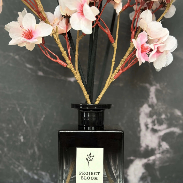 Dark Kiss Diffuser Gift Set
