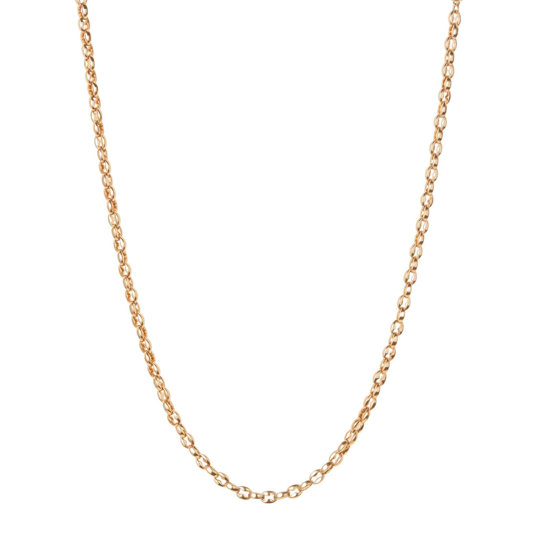 Dhani Chain - Gold
