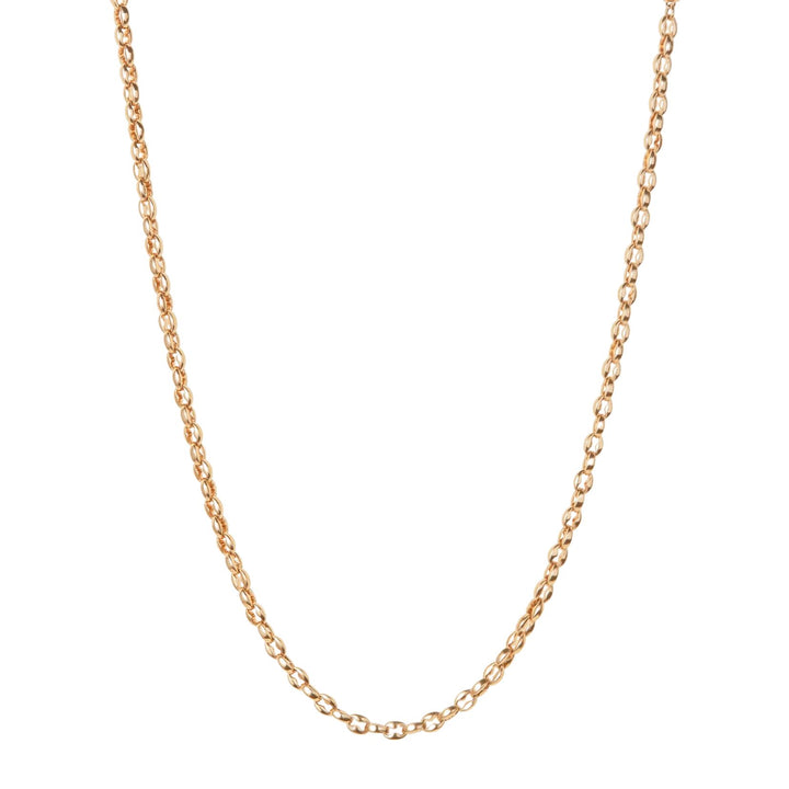 Dhani Chain - Gold
