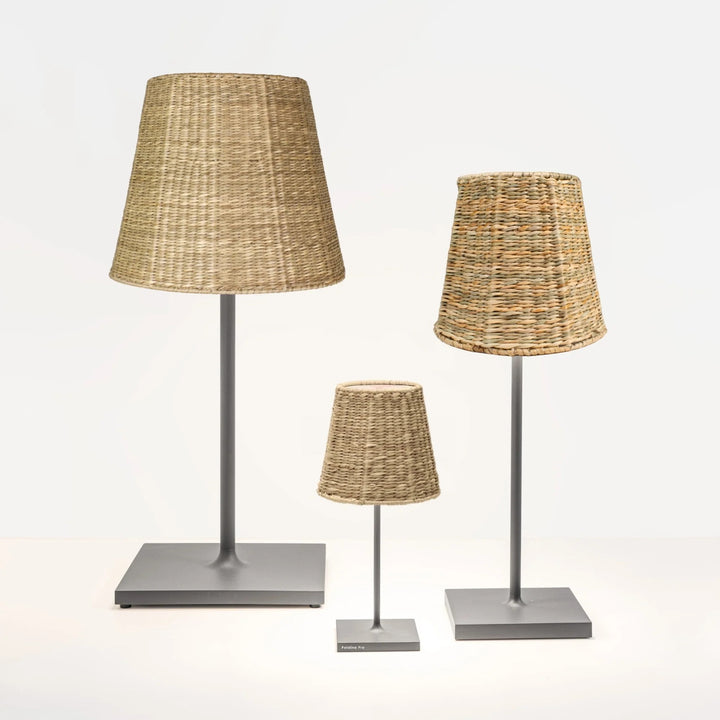 Empress Seagrass Shade