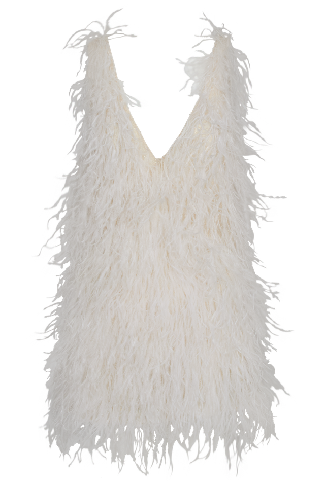 Feather Mini Dress
