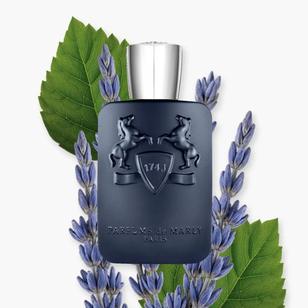 Layton EDP 75ml