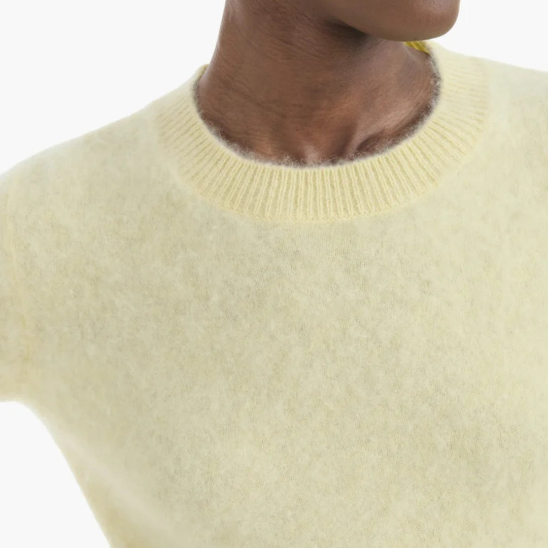 Link Sweater in Daylight