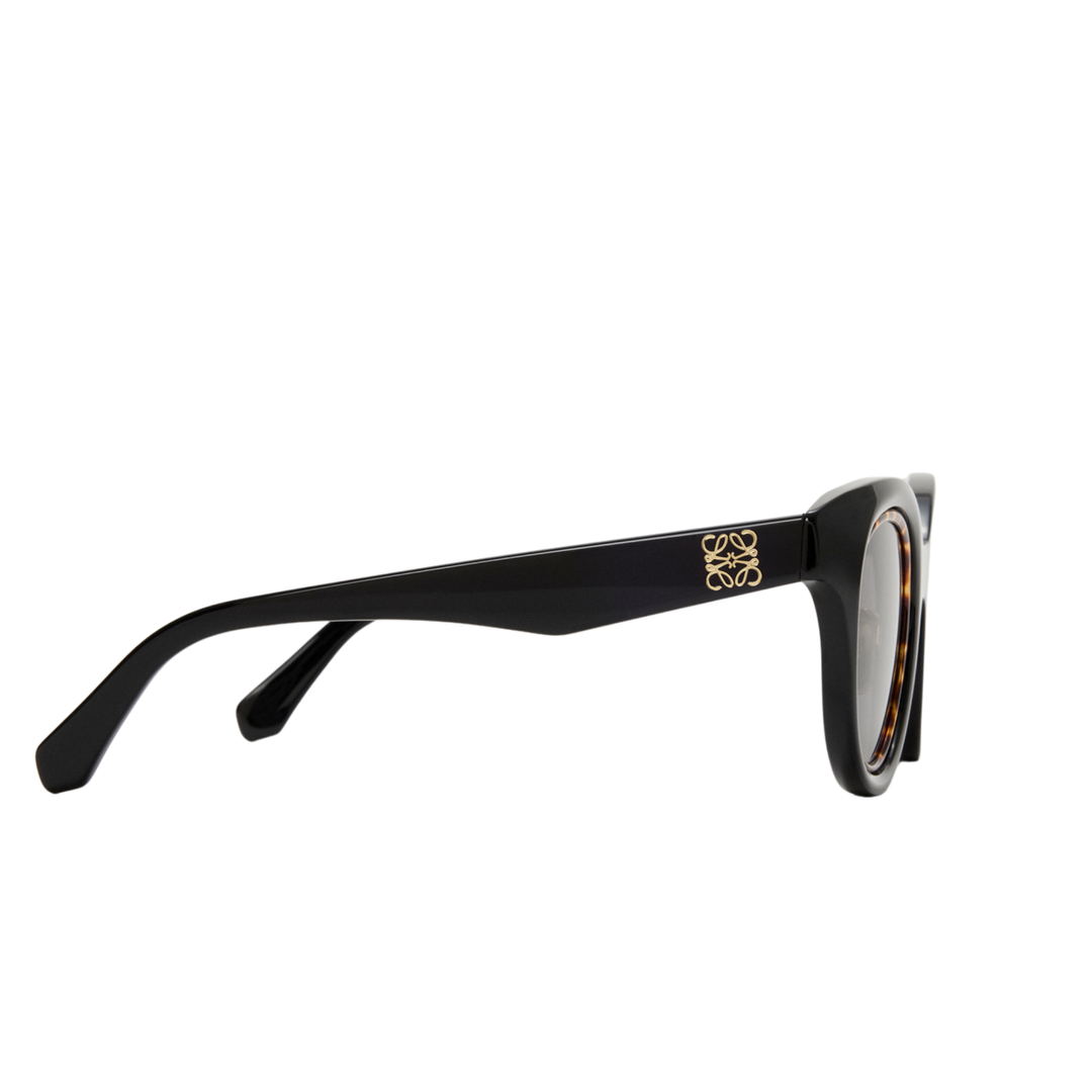 Loewe Acetate Sunglasses
