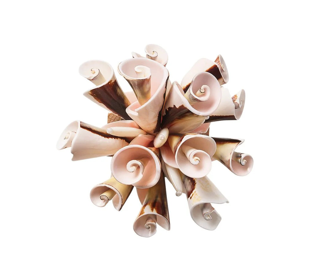 Seashell Burst Napkin Ring - Ivory/Natural - NONE