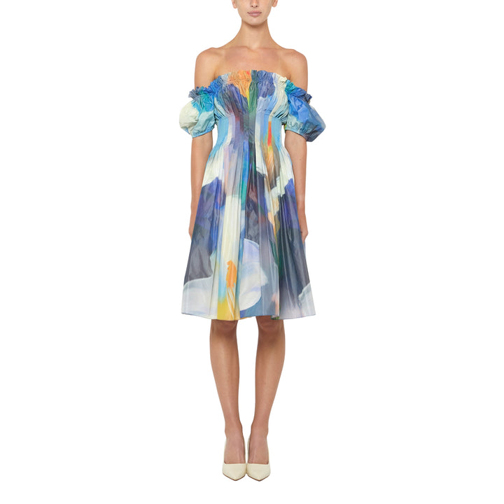 Off Shoulder Ruched Dress in Blue Multi