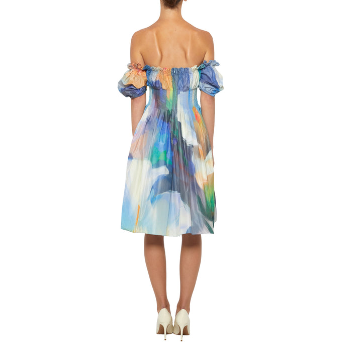 Off Shoulder Ruched Dress in Blue Multi