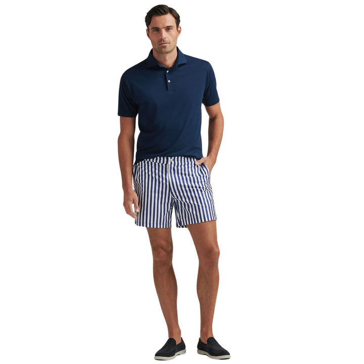 Awning Stripe Swim Trunk