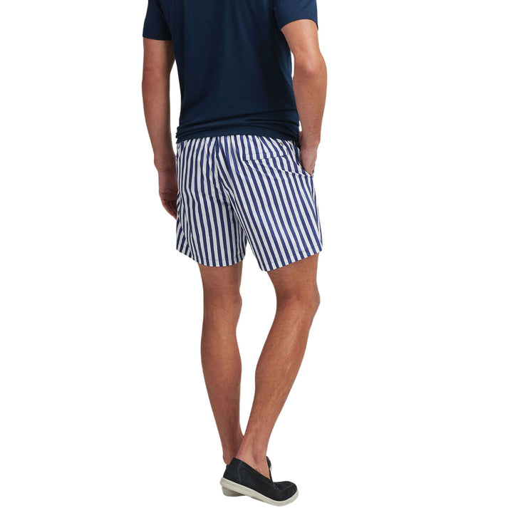 Awning Stripe Swim Trunk