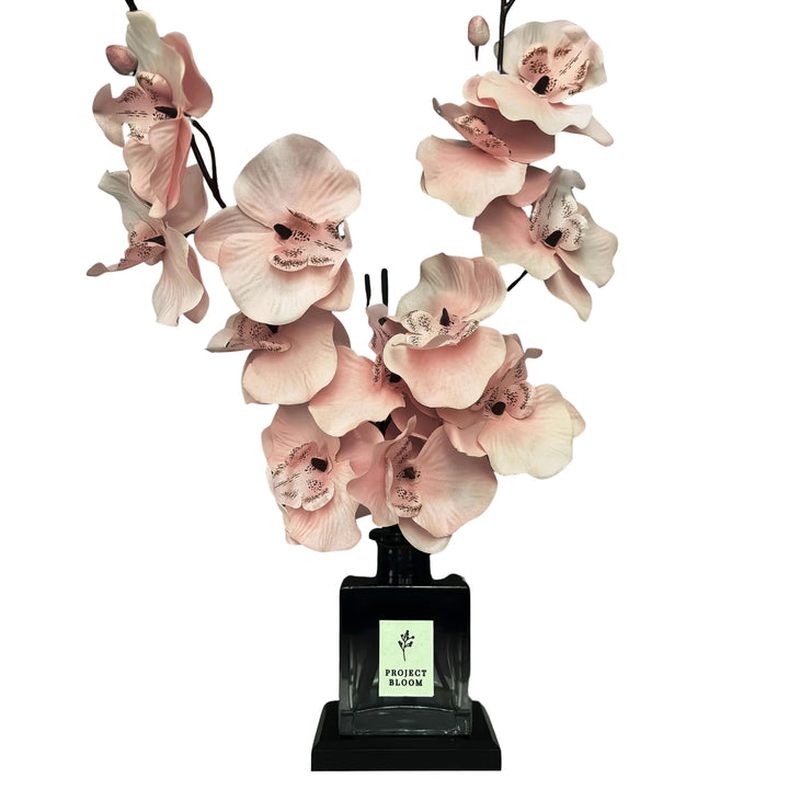 Pink Velour Diffuser Gift Set