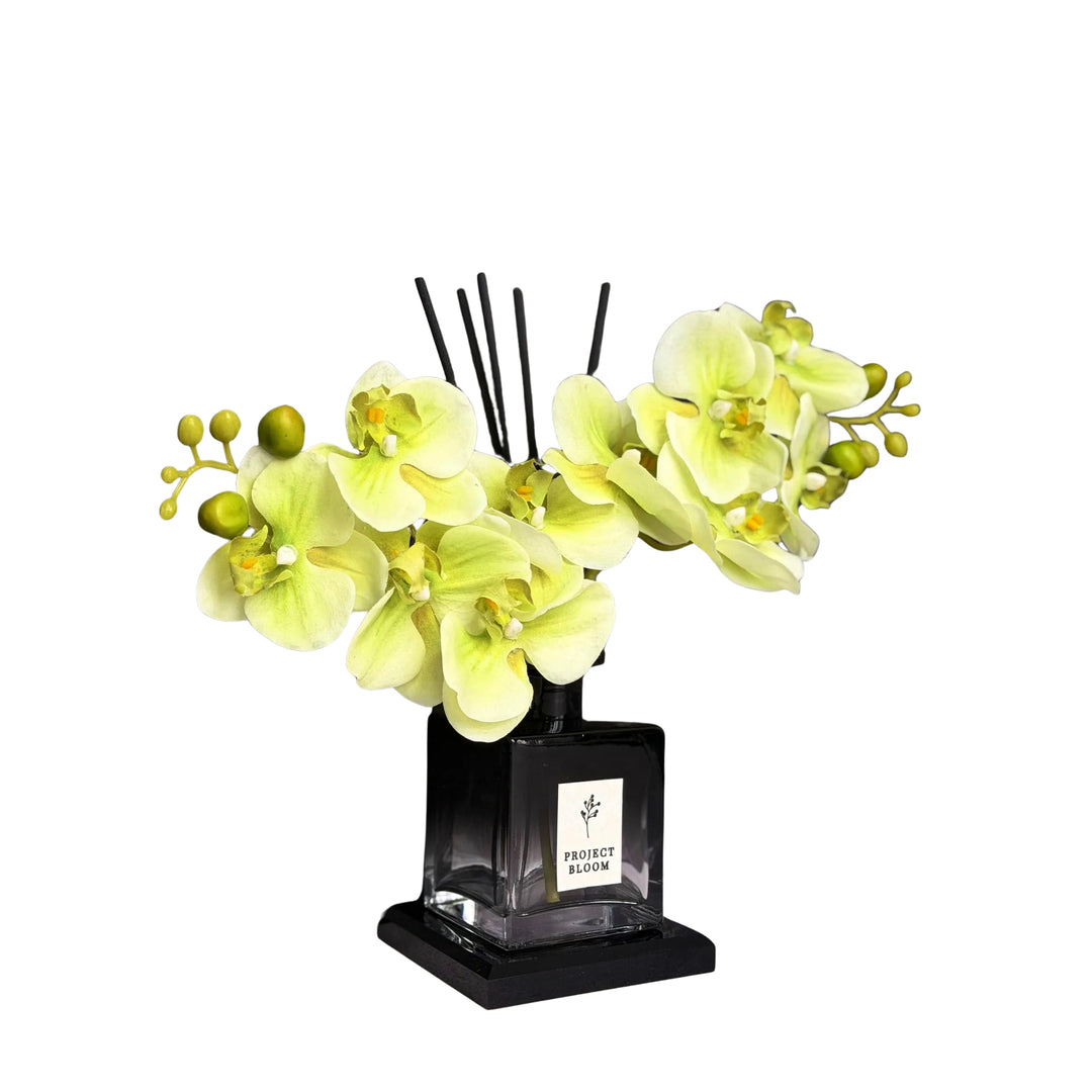 Plum Botanique Diffuser Gift Set