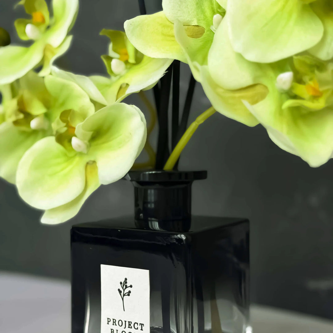 Plum Botanique Diffuser Gift Set