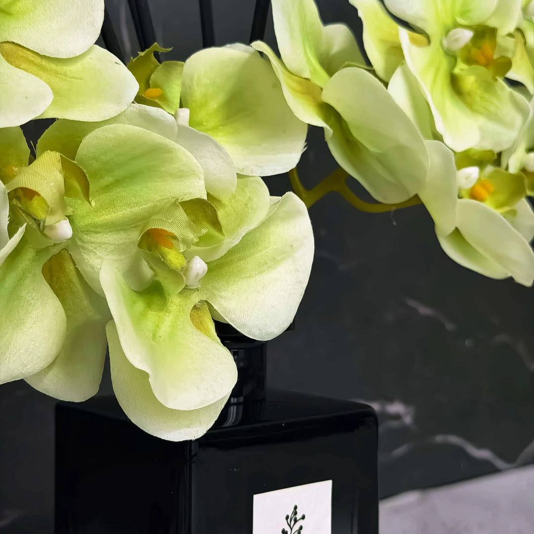 Plum Botanique Diffuser Gift Set