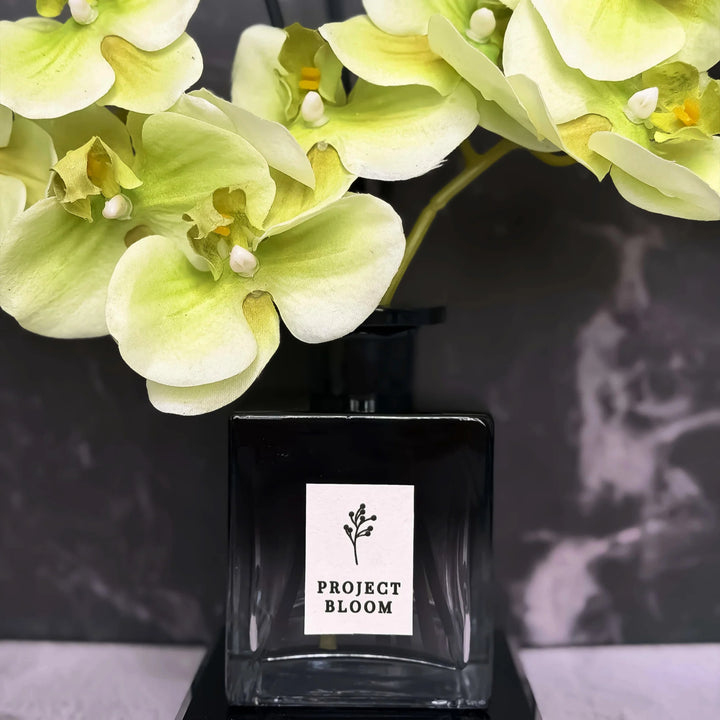 Plum Botanique Diffuser Gift Set