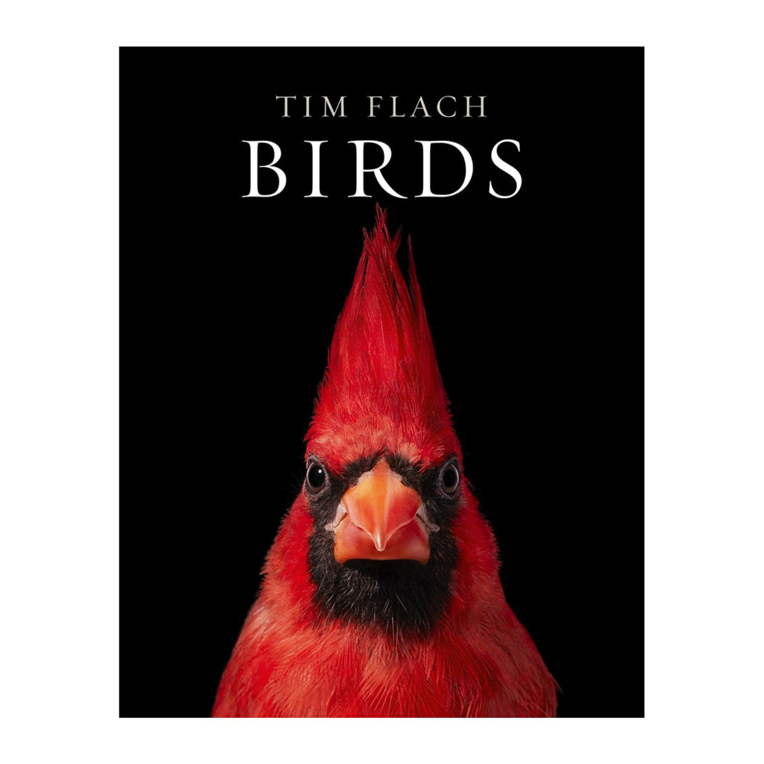 Birds: Photographs by Tim Flach