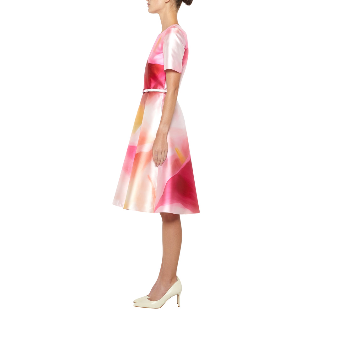 Short Sleeve Knee Length Fit & Flare Dress in Pink Multi