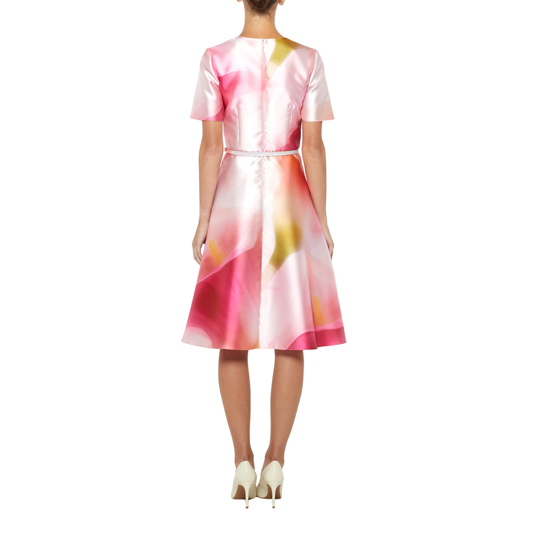 Short Sleeve Knee Length Fit & Flare Dress in Pink Multi