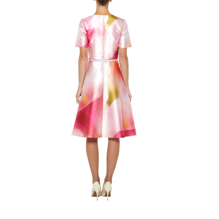 Short Sleeve Knee Length Fit & Flare Dress in Pink Multi