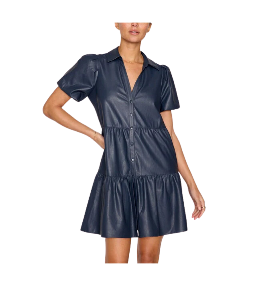 Havana Vegan Leather Mini Dress