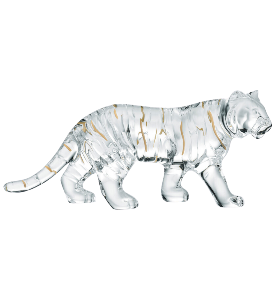 2022 Zodiac Tiger Clear