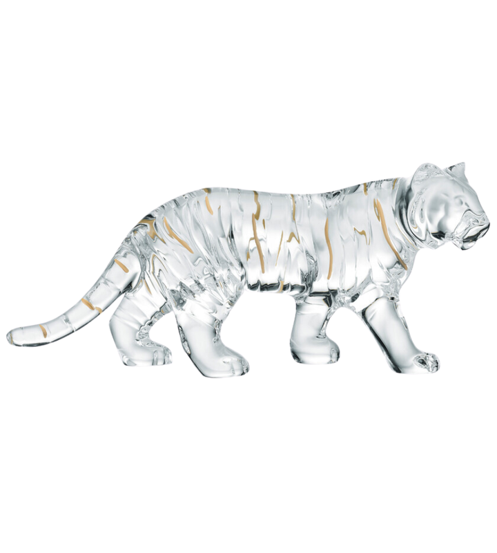 2022 Zodiac Tiger Clear