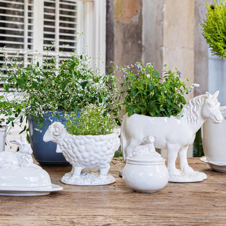 Clever Creatures Bridget - Bunny Butter Dish