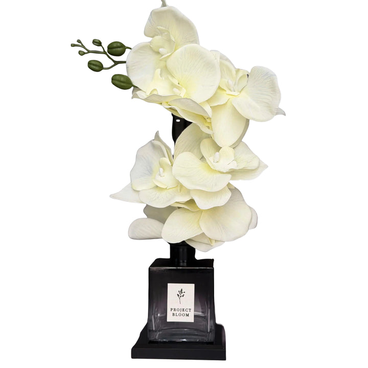 Veil in White Diffuser Gift Set