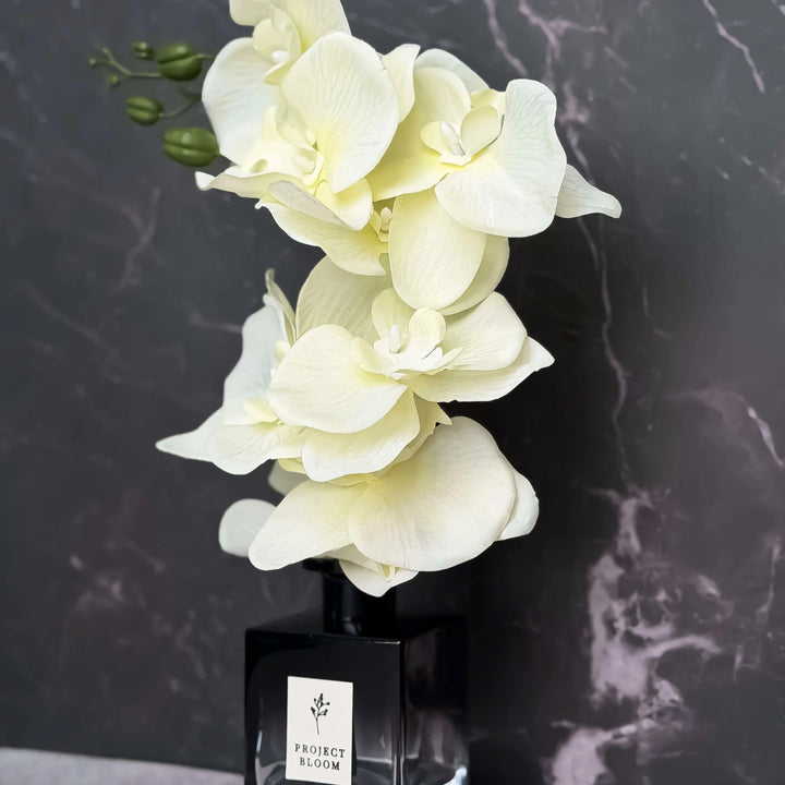 Veil in White Diffuser Gift Set