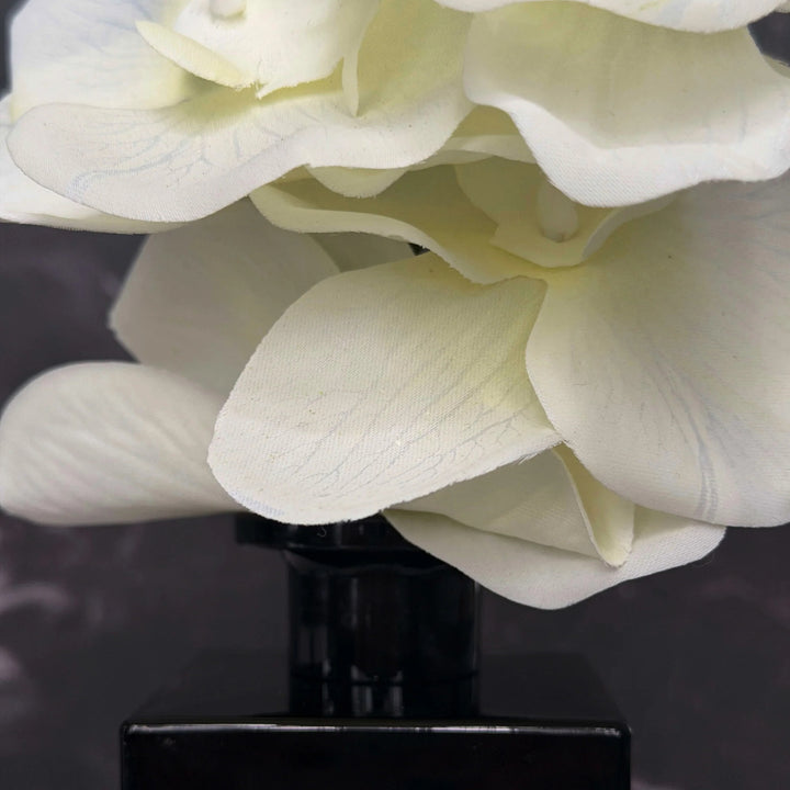 Veil in White Diffuser Gift Set