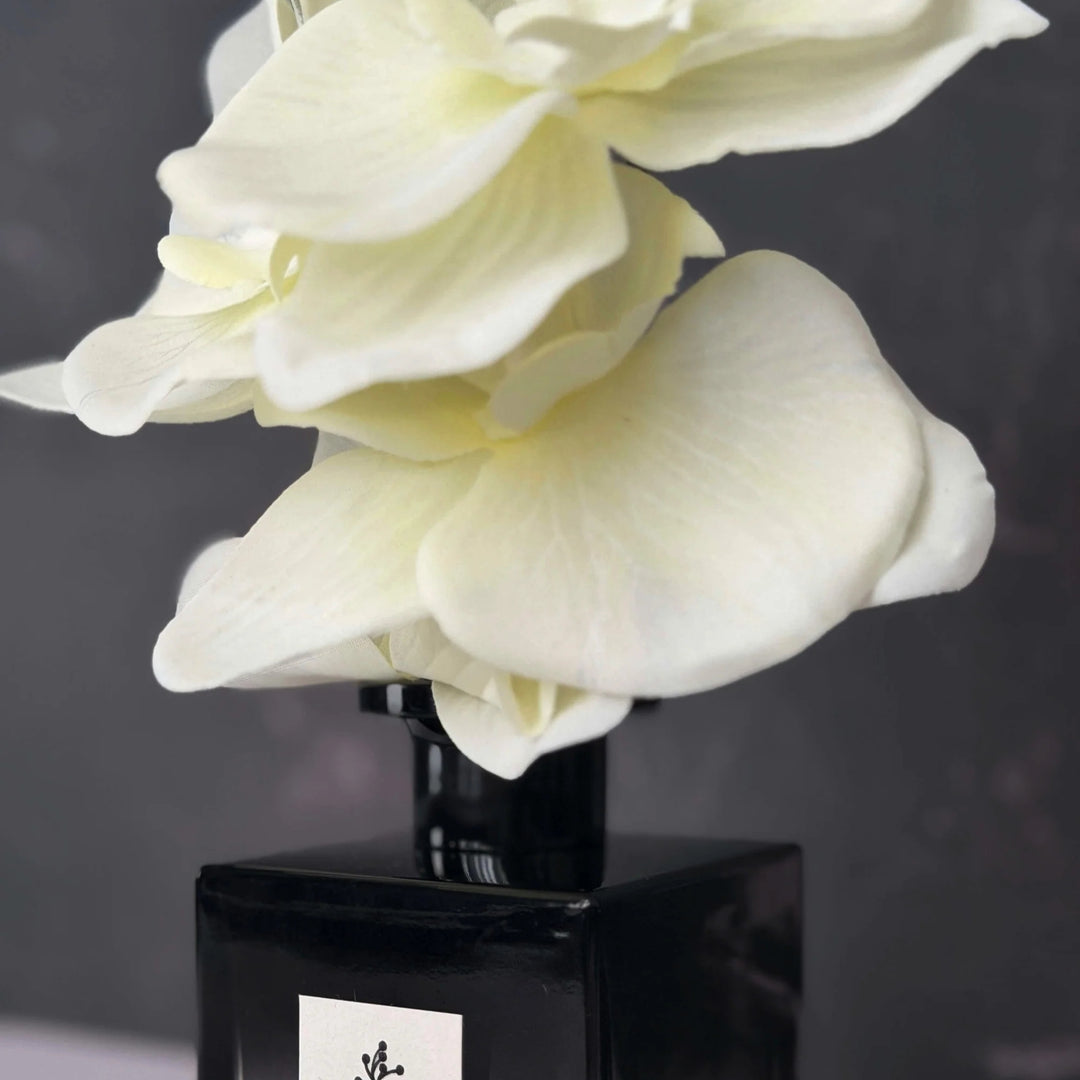 Veil in White Diffuser Gift Set