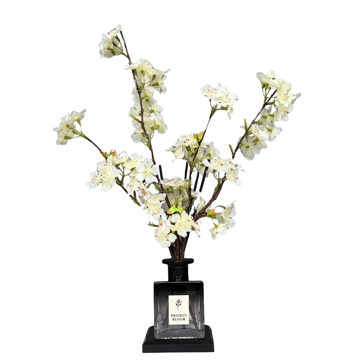 Vetiver White Jasmine Diffuser Gift Set