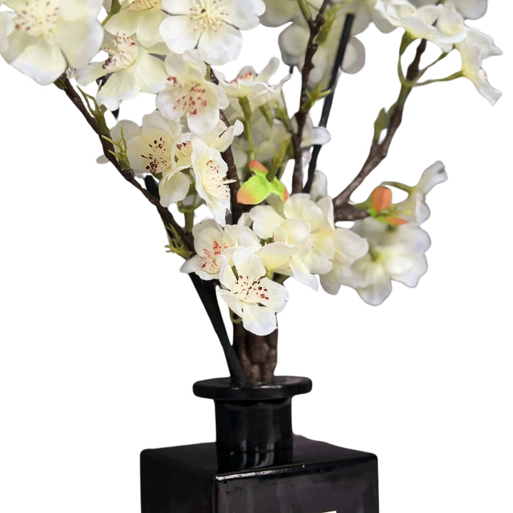 Vetiver White Jasmine Diffuser Gift Set