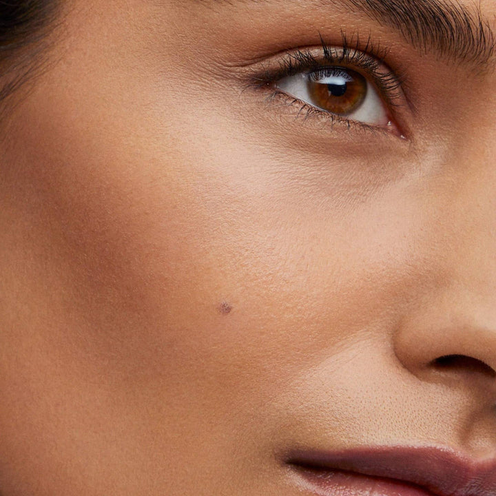 Biscuit Face Trace Contour Stick - No Color - NONE