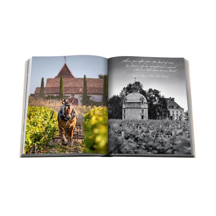 Wine & Travel - France
