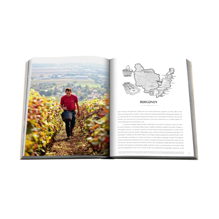 Wine & Travel - France
